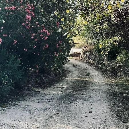 Moradia Na Serra Alcanede Екстериор снимка